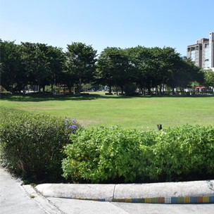 2010 臺北市政府 - 華山大草原